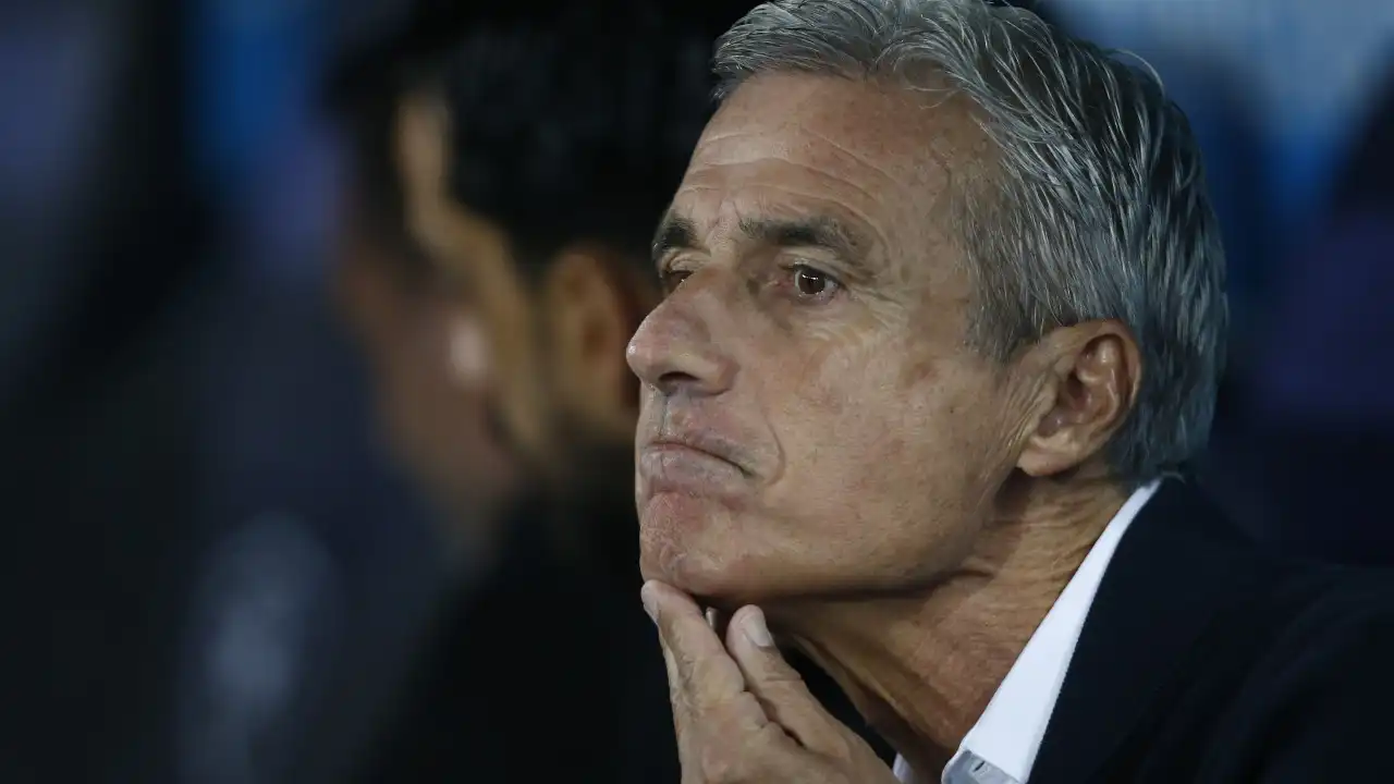 Luis Castro nega procura do Flamengo após saída de Tite