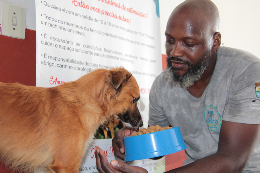 Navegantes cria banco de ração e utensílios para animais resgatados