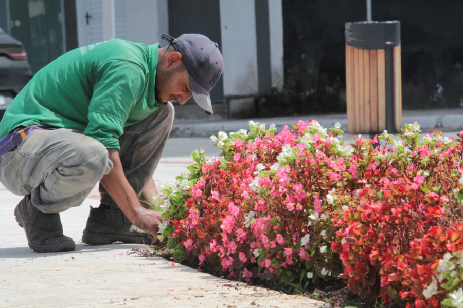 Mais de 15 mil flores embelezam Navegantes